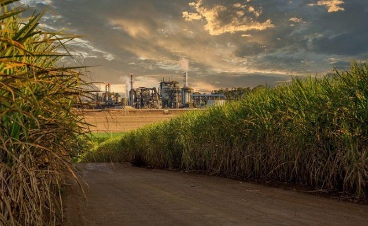 Produção de açúcar registra alta de 9,3% na reta final da safra no Norte e Nordeste