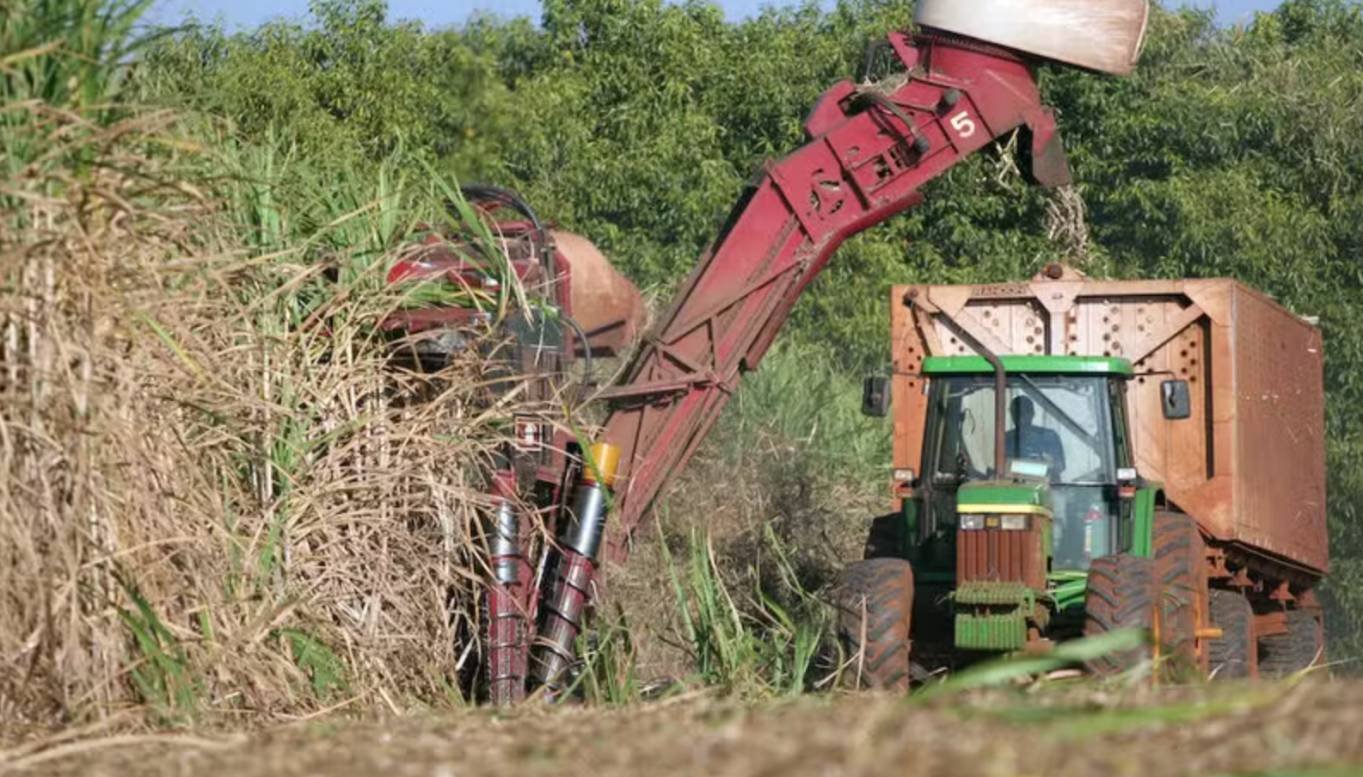 Perto do final, safra de cana 2025-2026 no Norte e Nordeste segue com mix mais alcooleiro